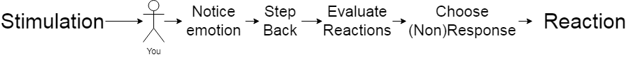 The stoic approach to a stimulus of first stepping back and responding thoughtfully.